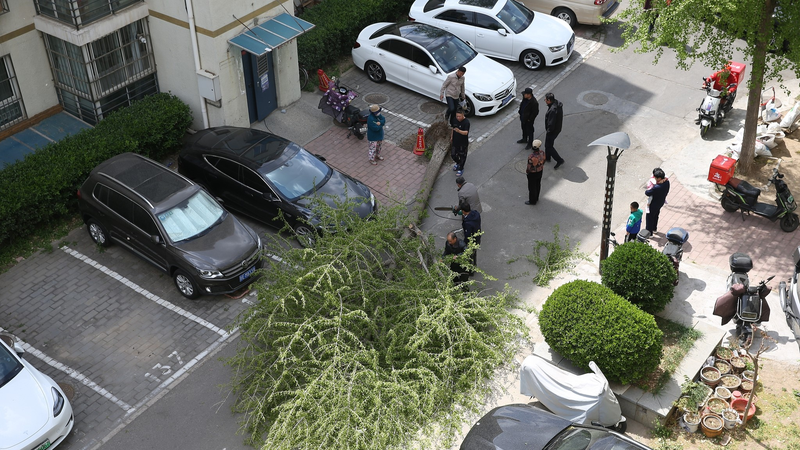 中国北部で記録的強風　北京の公園閉鎖と3,200便欠航