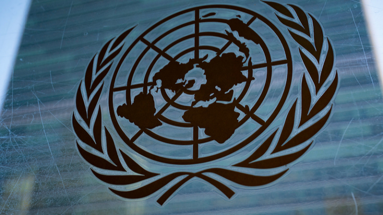 AI競争の鍵は技術より「生態系」—UNCTAD報告が示す5つの土台