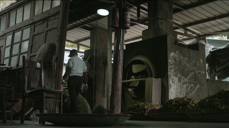 台湾ウーロンはなぜ青い？ ダリの茶師・Lin Yunlianが語る職人技 video poster