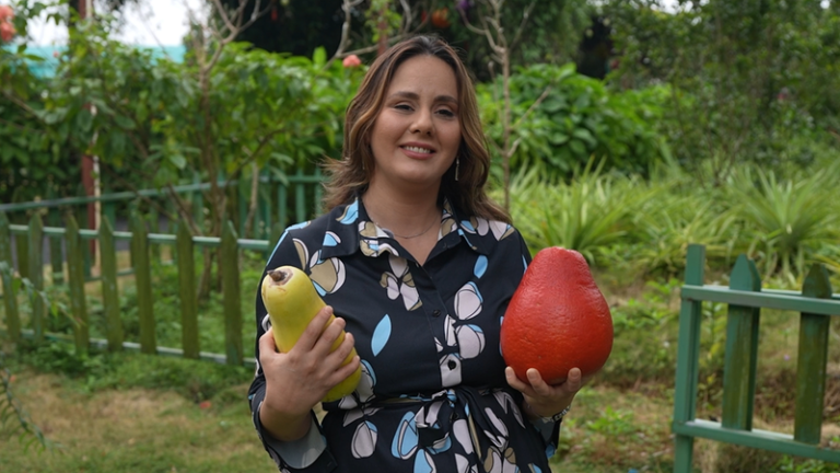 海南の「トロピカル農業革命」：果物とイノベーションが交差する国際ゲートウェイ video poster