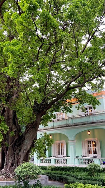 マカオ「タイパ・ハウス」が映す静かな文化の融合