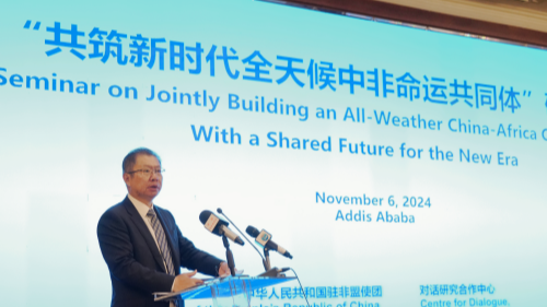 中国とAU、FOCAC枠組みで戦略協力を一段と深化へ