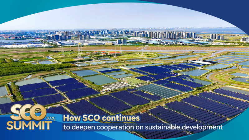 SCO「持続可能な発展の年」中国主導の協力はどこまで進んだか