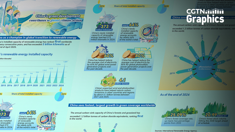 中国のグリーン開発はどう世界の気候行動を後押しするのか【国連80周年】
