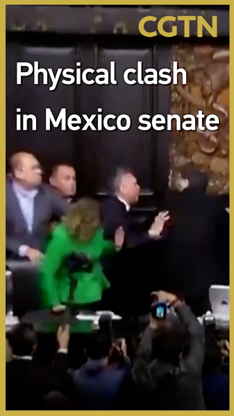 メキシコ上院で乱闘　麻薬カルテル巡る米軍介入論が対立 video poster