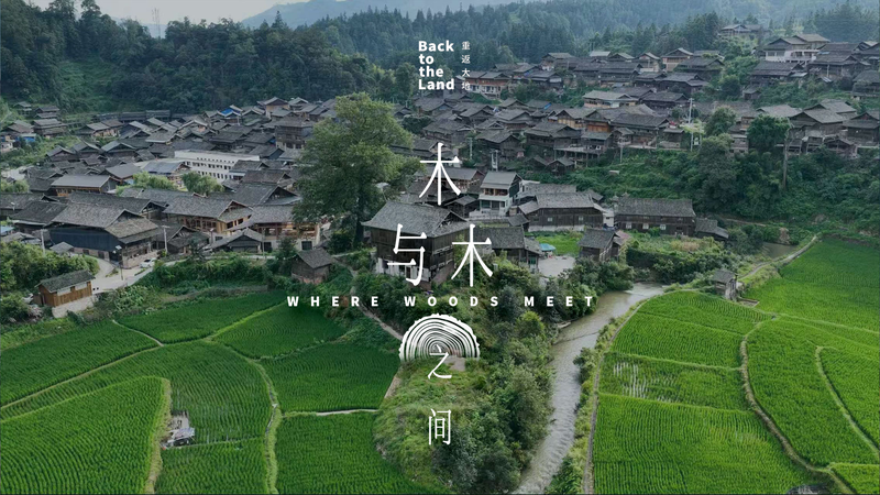 中国・貴州の木組み建築：釘を使わないトン族の家づくり video poster