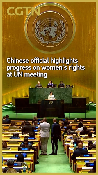 国連会合で中国が女性の権利の進展を強調　北京女性会議30年 video poster