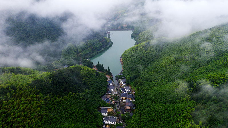 中国ニュース 夏の聖域モーガン山・蘆花蕩をライブで体感 video poster