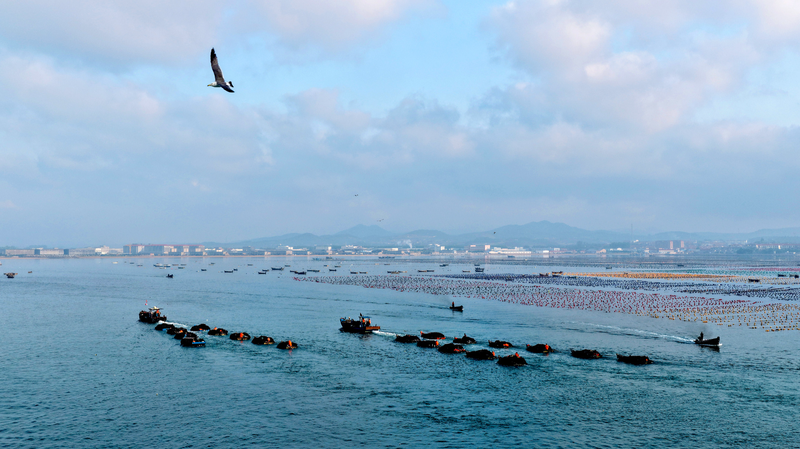 習近平氏はどう海洋強国をめざすのか：中国の海洋経済と環境戦略