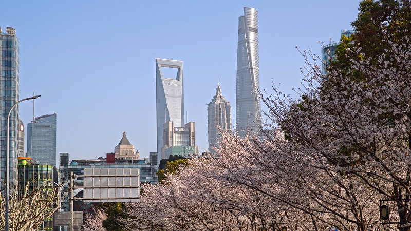 外国機関投資家が過去最多に　中国市場への信頼強まる