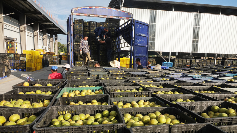 観光だけじゃない桂林 市場を広げる対外貿易と知られざる産業
