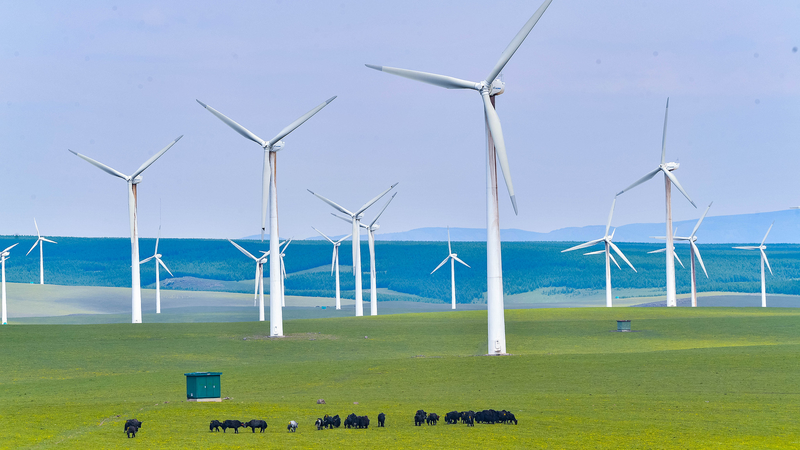 国際ニュース：中国とデンマーク国交75年と環境保護協力