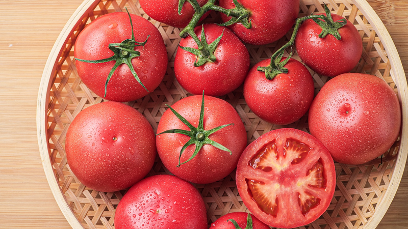 中国の研究者が挑む 高温に強い気候スマートトマト