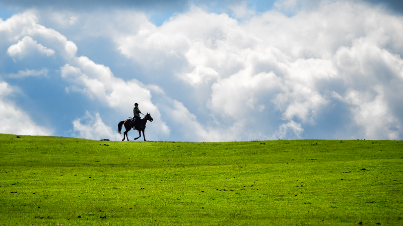 中国・カラジュン草原をライブで体感　新疆の「緑のベルベット」とは video poster