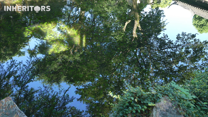 蘇州庭園に見る「自然と調和する暮らし」──静けさをデザインする力