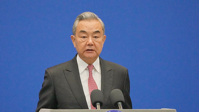 中国とアルジェリアの友好強化へ　王毅外相が電話会談で協力拡大を確認