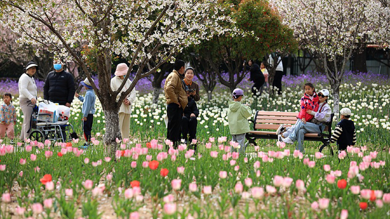 清明節連休で7.6億人が移動へ　中国で広がる「ゆる旅」と農村観光 video poster