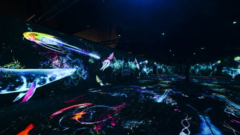 北京で「Meet the Ocean」展　海洋保護を描く没入型アート体験