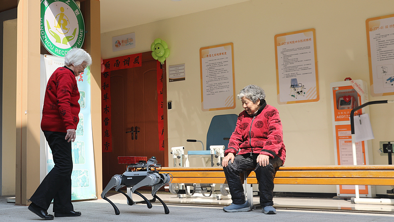 中国主導の高齢者ケアロボット国際標準が発表　世界の介護現場に何をもたらすか