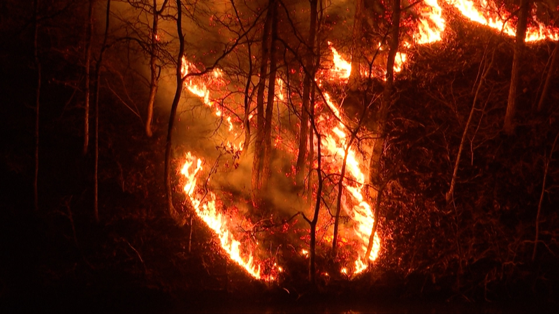 韓国で史上最悪の山火事　死者26人・3万3千ヘクタール焼失の国際ニュース video poster