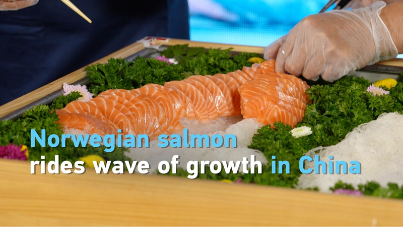 中国でノルウェー産サーモンが急成長　食卓を変える海産物ブーム video poster
