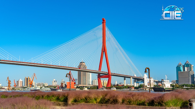 上海・楊浦リバーフロント　工業地帯から静かな水辺空間へ video poster