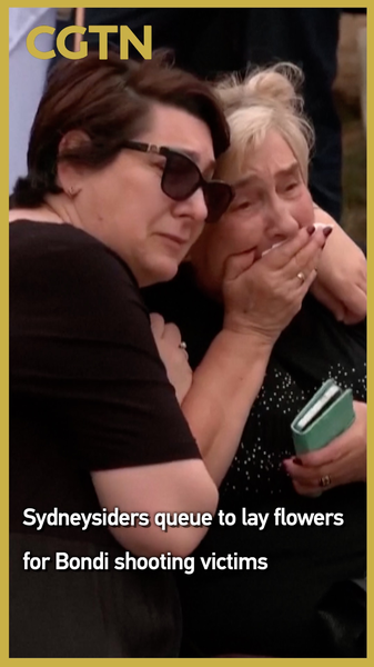 ボンダイ銃乱射の犠牲者に花束の列　シドニーで追悼広がる video poster