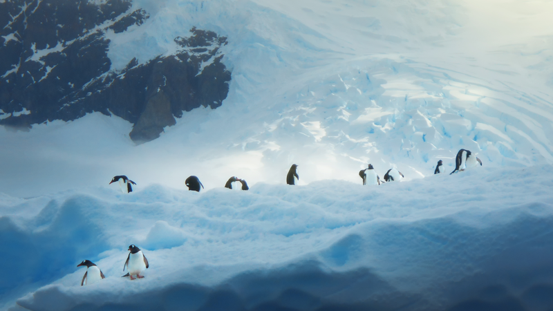 国連80周年と若者のビジュアルストーリー CGTN「One Home」初コレクション