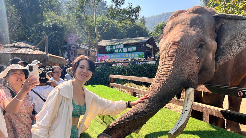 タジキスタンの若者が綴る中国日記　森とゾウが教える共生の感覚