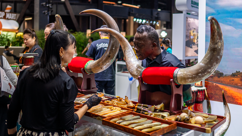 CIFTIS 2025で広がるアフリカと中国のサービス貿易協力