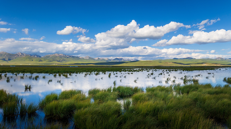 中国四川省ゾゲ湿地と長征　世界湿地の日が問う未来 video poster
