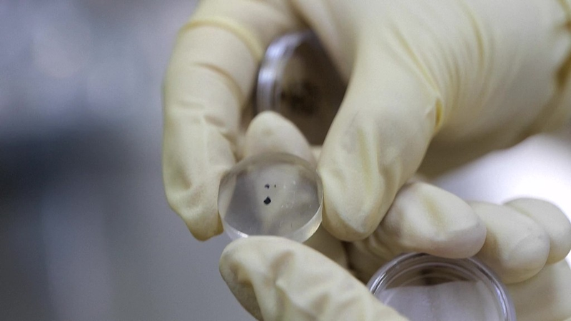 嫦娥6号サンプルが示す月全体マグマオーシャンの証拠