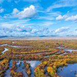 中国、14次五カ年計画で湿地面積8億ムー超を維持