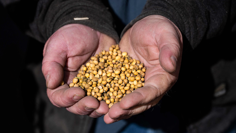 米中港湾料金の応酬　ブーメラン関税が直撃する米国農家