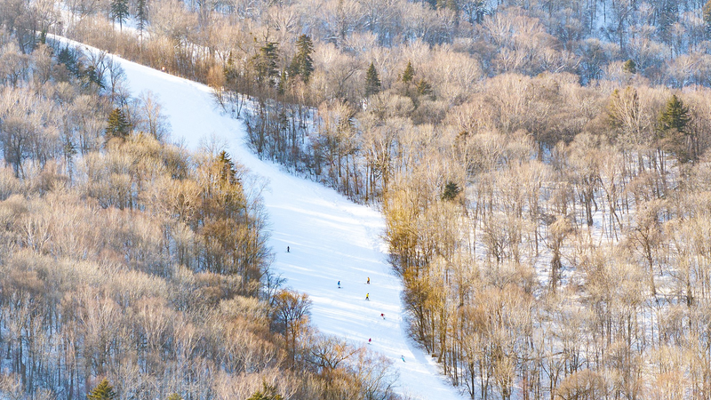 2025年ハルビン・アジア冬季大会へ ヤブリでスノーボード試験大会 video poster
