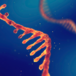 ウイルスが細菌を操る「隠れRNA」発見　ファージの新たな戦略