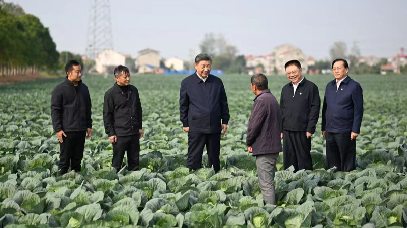 習近平国家主席が農村振興の加速を要求　中国現代化へのメッセージ