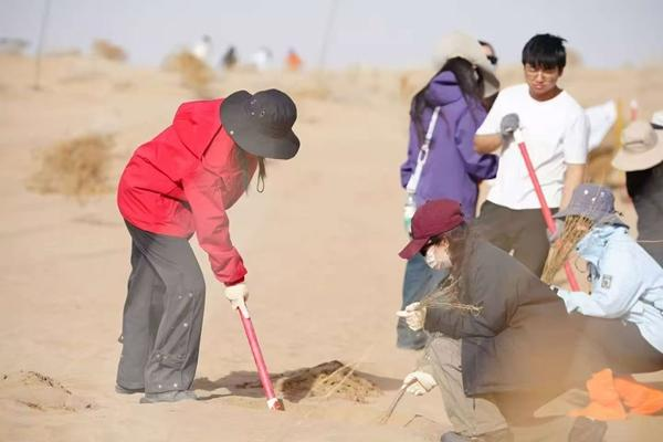 中国・甘粛の砂漠を緑に　Z世代学生の1500キロ植林ミッション