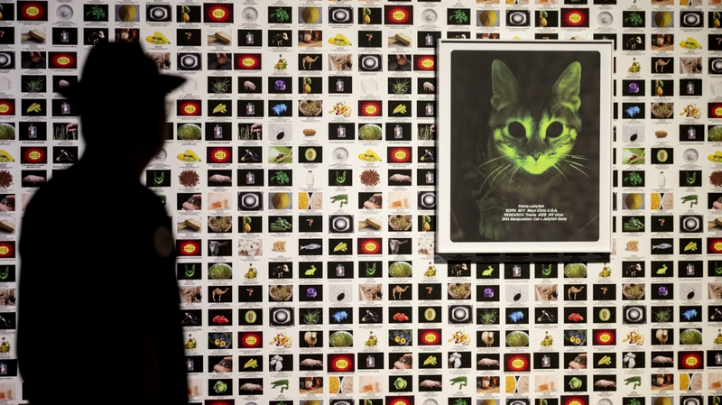 清華大学芸術博物館で、人と自然の関係を問い直す新展覧会