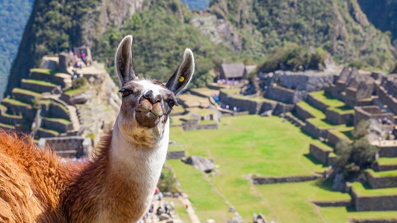 ペルーの世界遺産マチュピチュ：「インカの失われた都市」を歩く