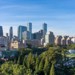 不確実な2025年、中国外交はどう「責任ある役割」を果たしたか