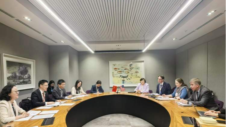 中国・米国の経済作業部会が第7回会合　南アでマクロ経済や低所得国支援を協議