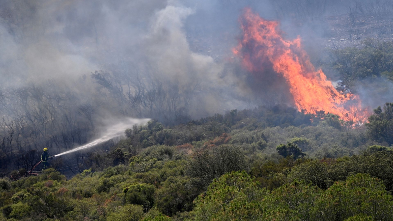 欧州西部で観測史上最も暑い6月　世界でも熱波の連鎖続く