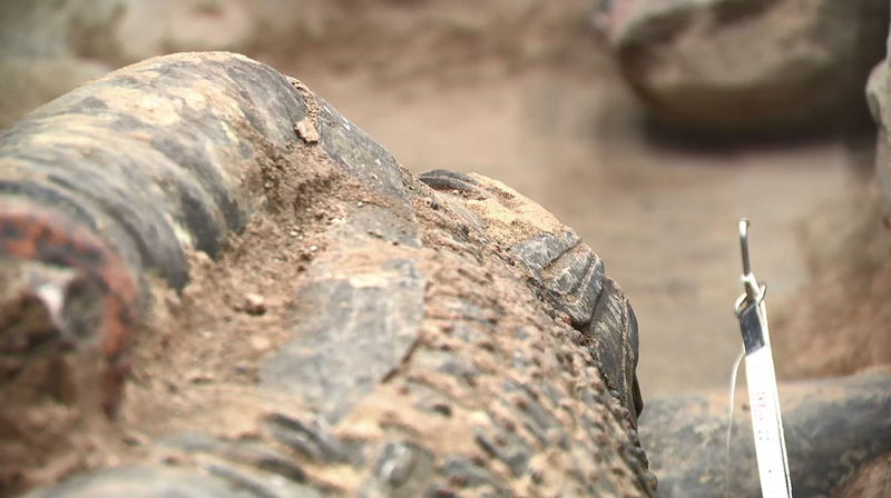 兵馬俑・坑2号で新発見　秦の戦車部隊の構造が浮かぶ