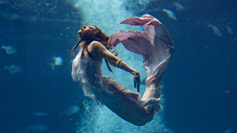 中国マーメイドオープンが海南で開催　アジア杯と共に新たな水中スポーツの幕開け video poster