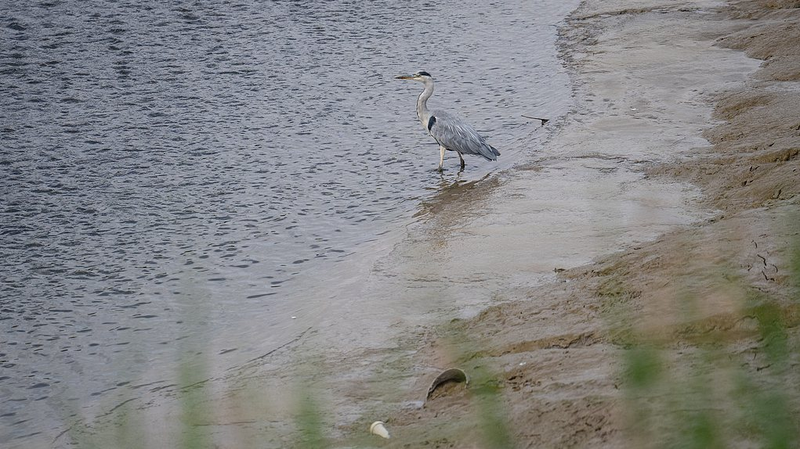 豪研究チーム、太陽光でPFAS分解　永遠の化学物質を無害なフッ化物に