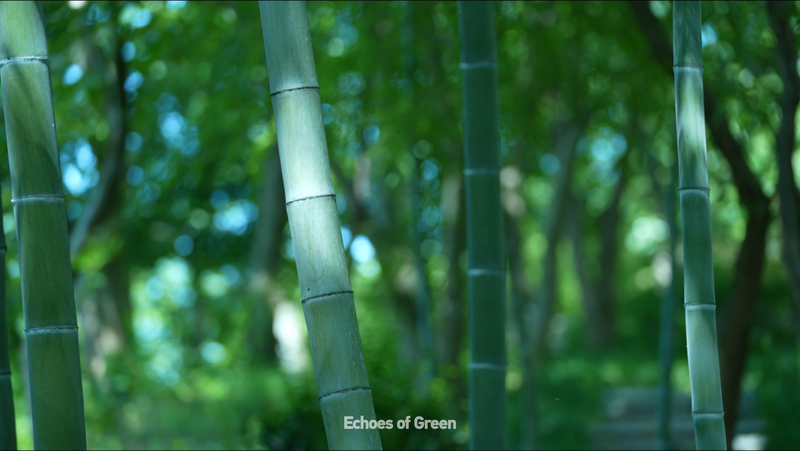 竹の音に耳を澄ます：中国本土・浙江省安吉のサウンドスケープ video poster