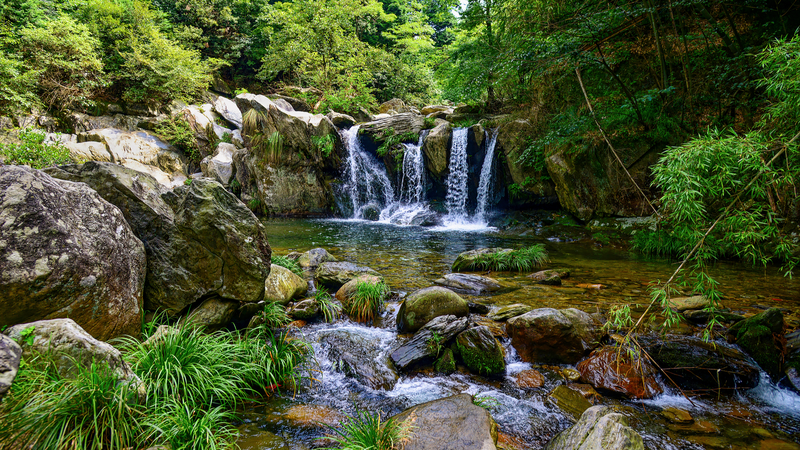 森林率97%の天然酸素バー 中国・銭江源国家公園を知る video poster