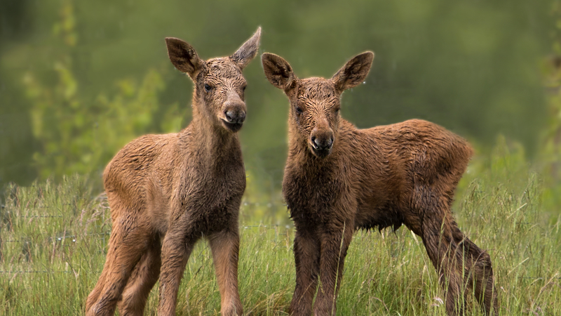 中国と英国、グリーンファイナンス協力強化へ　ロンドンで共同ワークストリーム始動