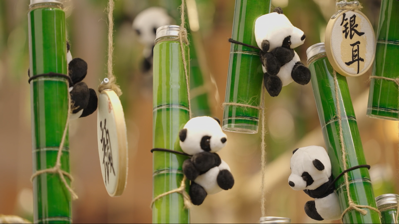 成都の魅力：火鍋のスパイスと公園の一杯がつくる二つの時間 video poster